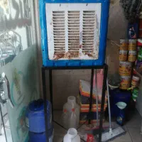 گولو کوچیک