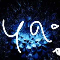 شماره رند همراه اول