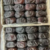 خرمای بم