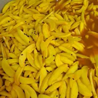 انواع ترشی انبه
