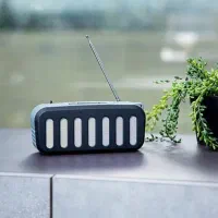 اسپیکر حرفه ای جیپاس ۱۱۱۸۴ شارژی رادیو دار