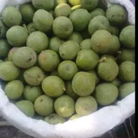 گردو با پوست