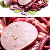 سوسیس و کوکتل۶۰% برای پت گربه و سگ