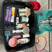 وسایل گربه و سگ