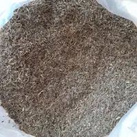 زیره کوهی تشکر هماگ