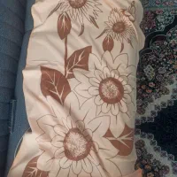 پیدا شده