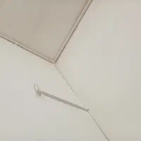 بیل کلنگ با کبوتر هم عوض میکنم