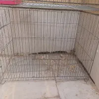 قفس