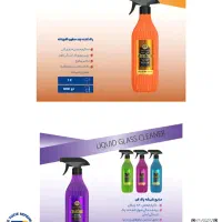 شوینده ایوولون