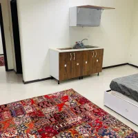 مبله شیک مرکز شهر ومرکز ساختمان های پزشکی ودرمانی