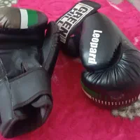 دست کش بکس