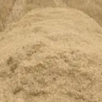 کاه گندم