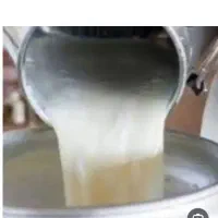 شیرگاو