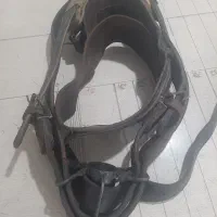 هیکلی چرم گاومیش