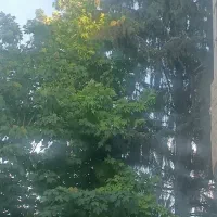 فروش زمین باغ شهری گلبهار 1350م