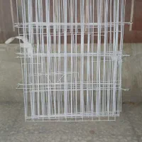 پارک خانگی سگ و گربه