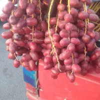 خرمای تازه