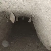 جیوه داخل گل داخل غنات ها