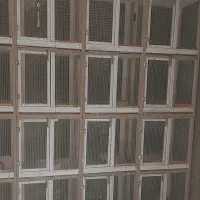 قفس جفت کن
