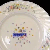 فروش ویکتوریا نو نو کارتن بوده