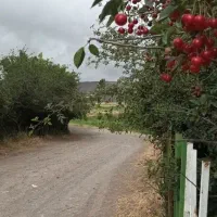 فرصت طلایی خرید باغ ویلا خلخال ، هیر