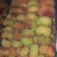 میوه