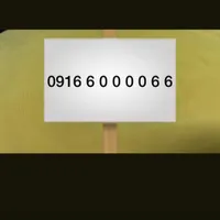09166000066