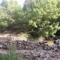 فروش-1000-متر-باغ-دسترسی-آسان-از-آزاد-راه