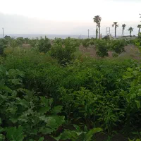 دنبال کار هستم