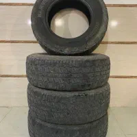 لاستیک آفرودی