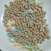 کنسانتره پرواری درجه یک