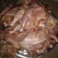 مرغ اسکلت کامل با گوشت درجه یک گرم روزانه