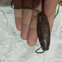 مهره بودایی و مهرهای اصله اصل قدمتی