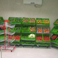 بانتای آلیک قفسهه