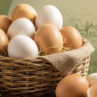 تخم مرغ به قیمت کلی