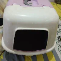 ظرف خاک گربه