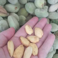بادام درجه 1