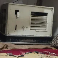 کولرابی