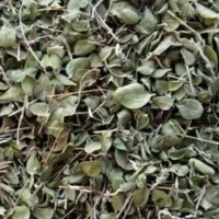 آویشن درجه ۱