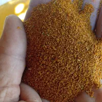 خاک شیرتازه امسال کاملاتمیزوخشک