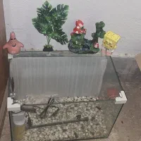 اکواریوم نو