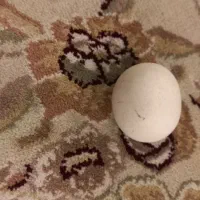 سنگ اسیاب