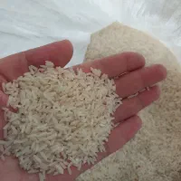 برنج دم سیله کلات نادر