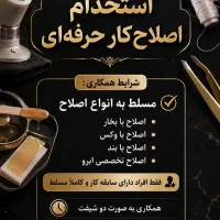 استخدام اصلاحکار و شاگرد سالن زیبایی