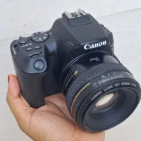 lens 50 F1.4 canon
