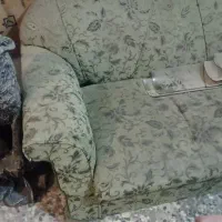 مبل هفت نفره