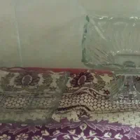 میوه خوری