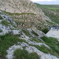کوهنوردی
