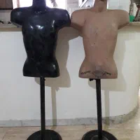 مانکن مردانه
