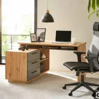 دو نفرمنشی خانم کار دفتری